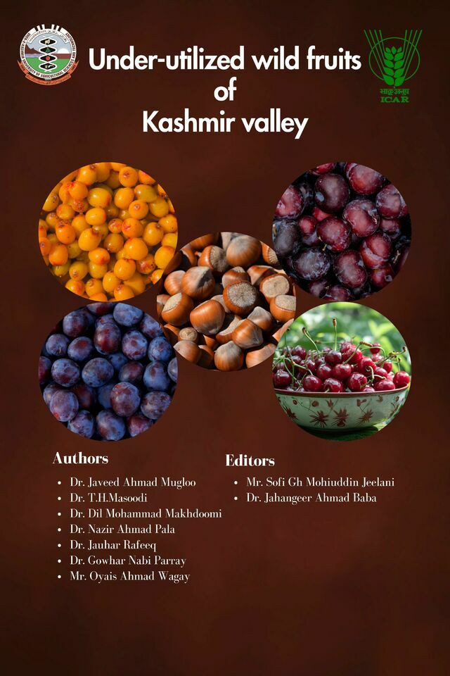Under Utilized Fruits of Kashmir Valley