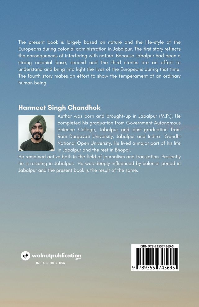 Three and Half Stories back cover view