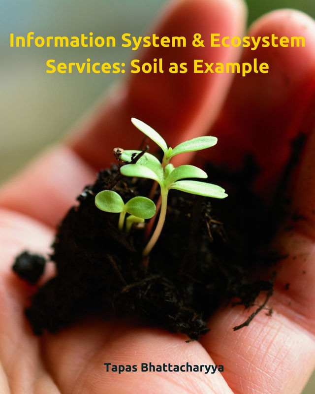 Information System & Ecosystem Services: Soil as Example