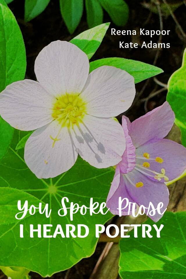 You Spoke Prose, I Heard Poetry