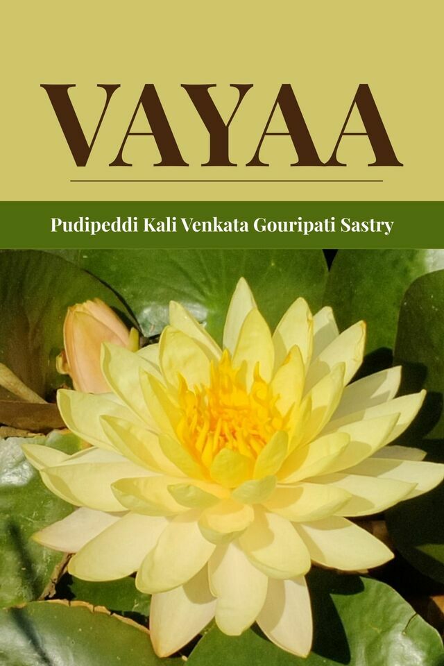Vayaa