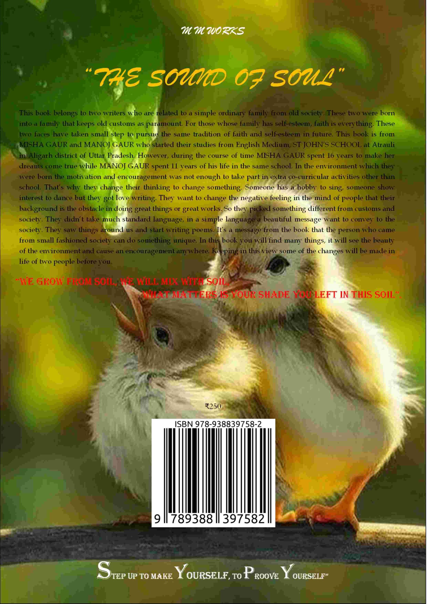 The Sound of Soul back cover view