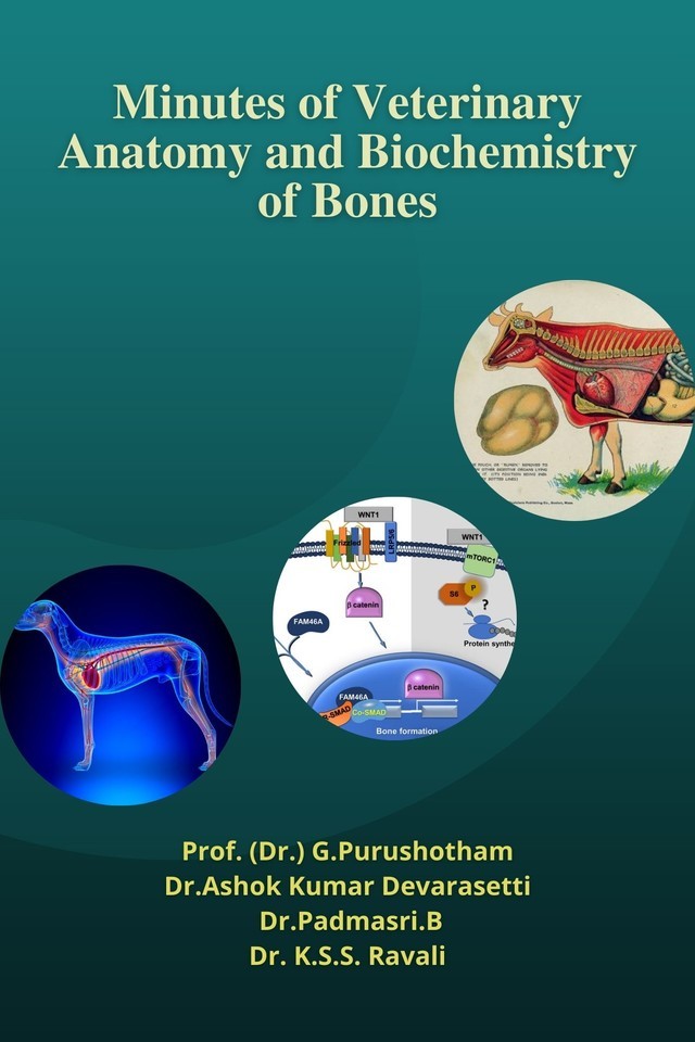 Minutes of Veterinary Anatomy and Biochemistry of Bones