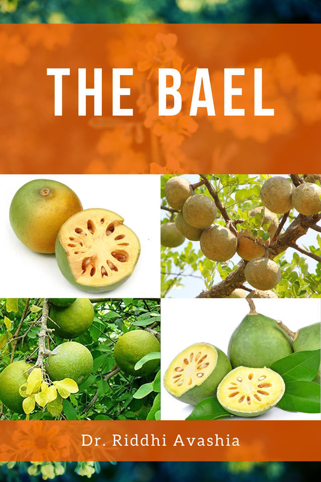 The Bael