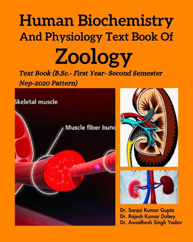 Human Biochemistry and Physiology Text Book of Zoology: Text Book (B.Sc.- First Year- Second Semester NEP-2020 Pattern)